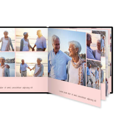 Portfolio White