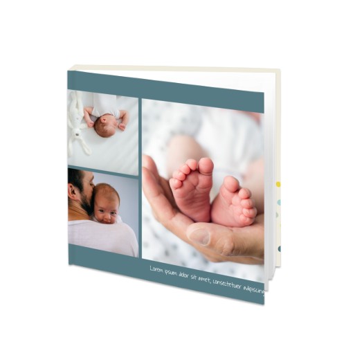 Animal Garden Animal Garden