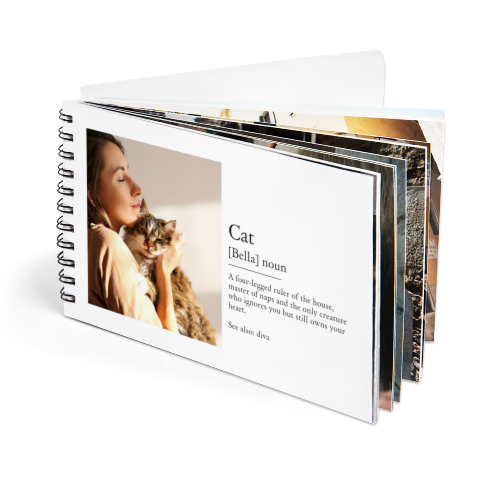 Pocketbook_DictionaryDefinition