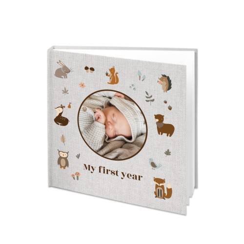 Forest Animals Forest Animals