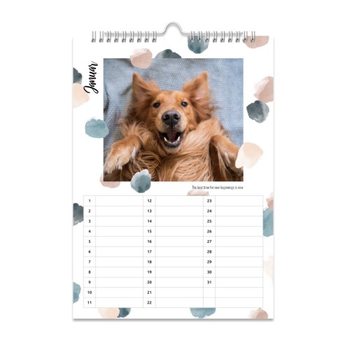 MulticolorAquarel MulticolorAquarel