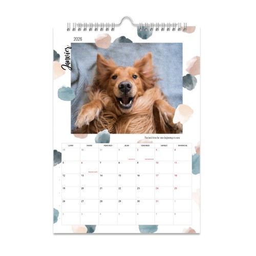 MulticolorAquarel MulticolorAquarel