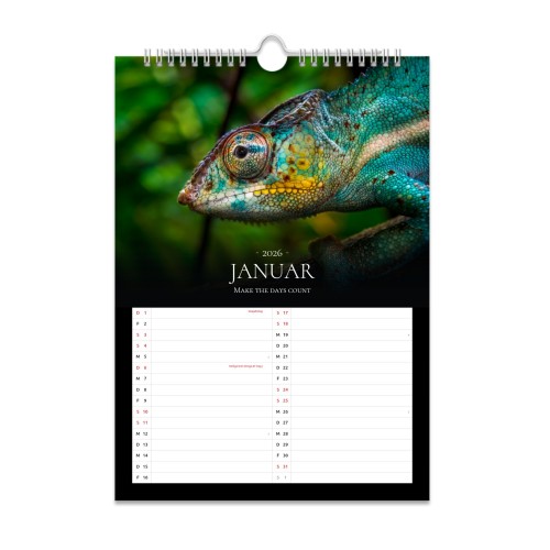 TypoClassicBlack TypoClassicBlack