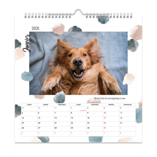 MulticolorAquarel MulticolorAquarel