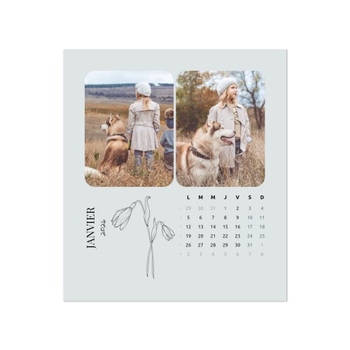 BirthFlower BirthFlower