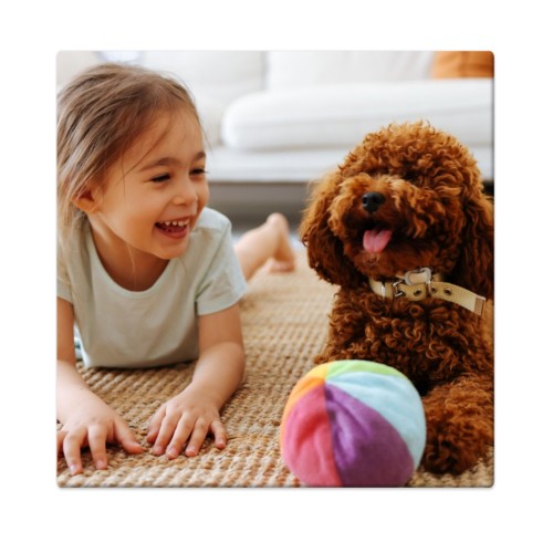 Photo Only Photo Only