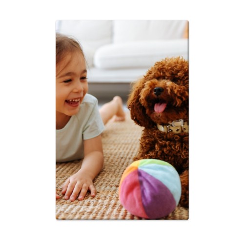 Photo Only Photo Only