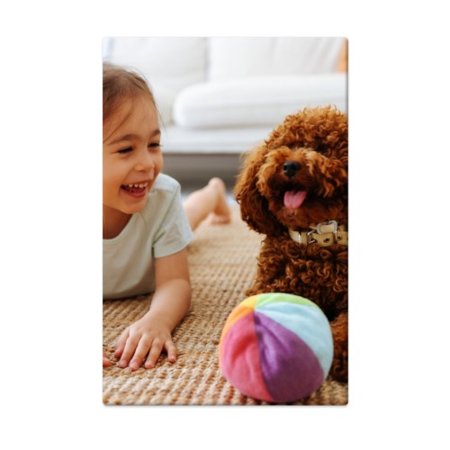 Photo Only Photo Only