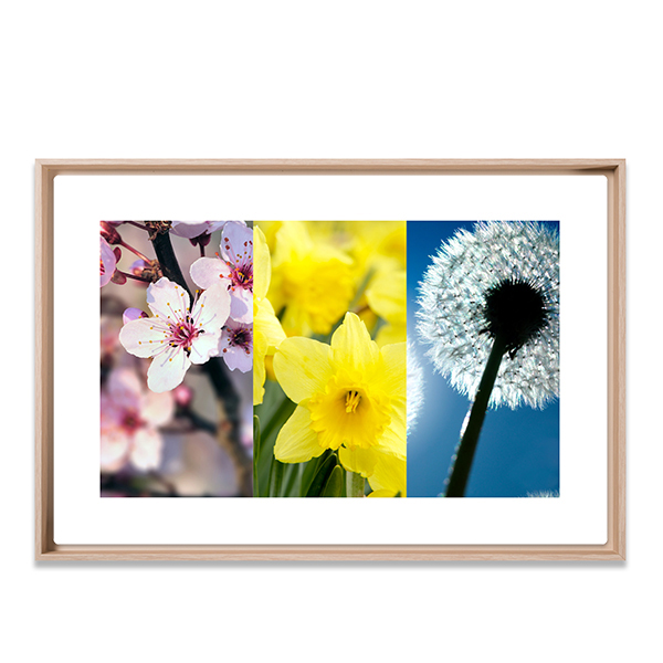 3PanoFramedText 3PanoFramedText