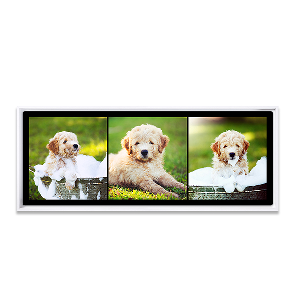 3PanoFramed 3PanoFramed