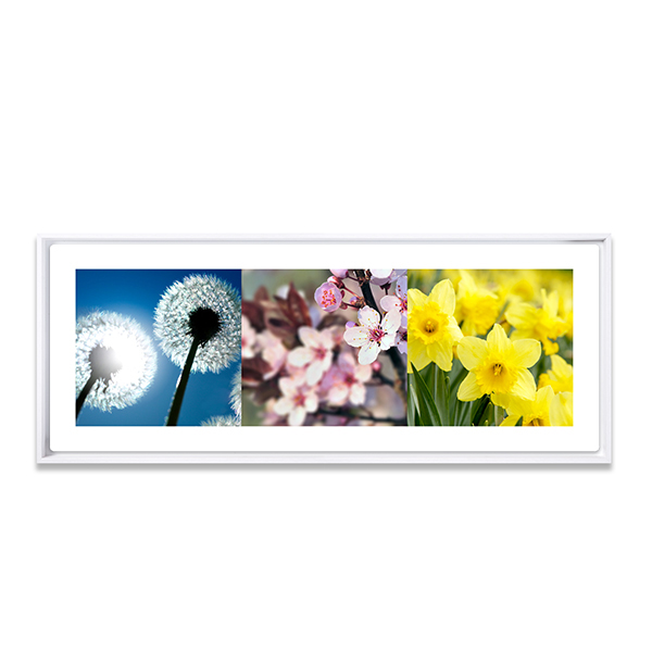 3PanoFramedText 3PanoFramedText