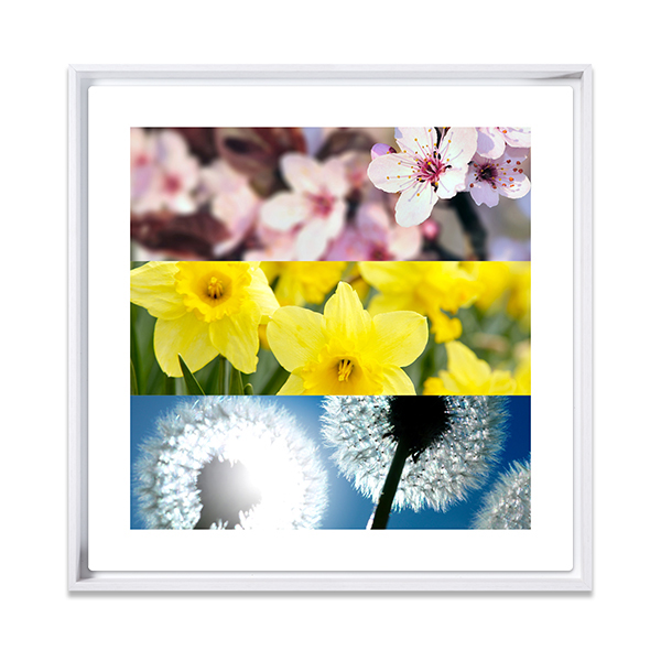 3PanoFramedText 3PanoFramedText