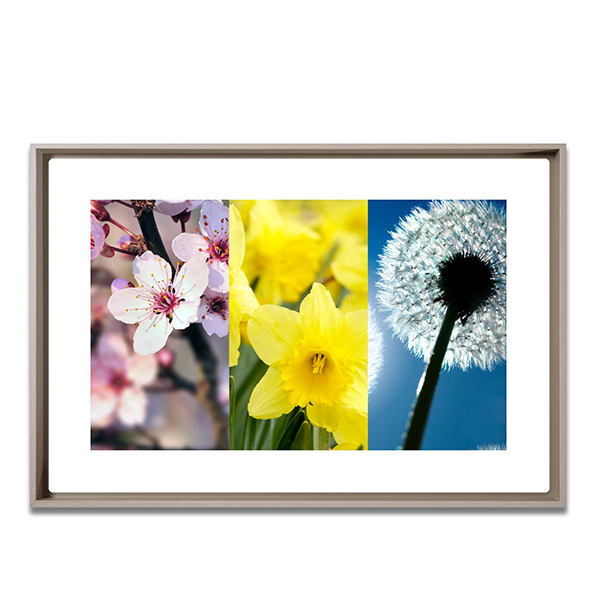 3PanoFramedText 3PanoFramedText