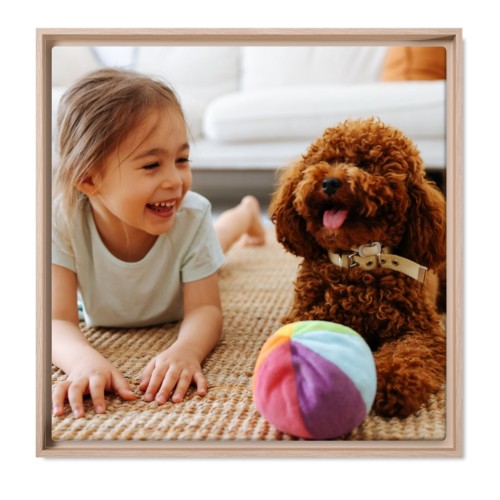 Photo Only Photo Only