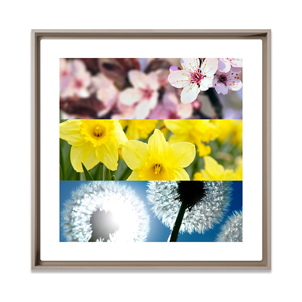 3PanoFramedText 3PanoFramedText