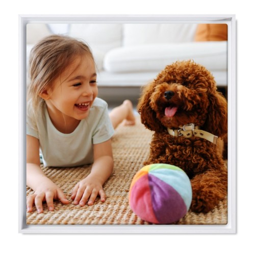 Photo Only Photo Only