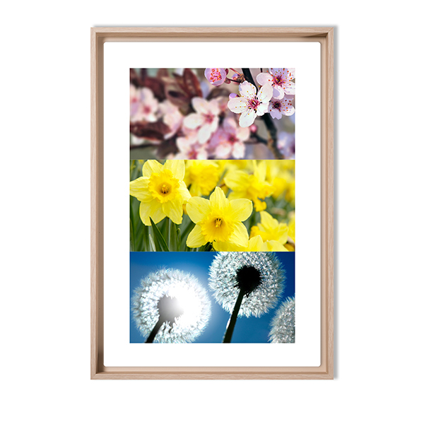 3PanoFramedText 3PanoFramedText