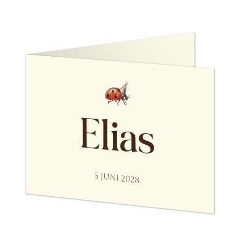 Geboortekaart Gevouwen Standaard (14,3 cm x 10 cm)