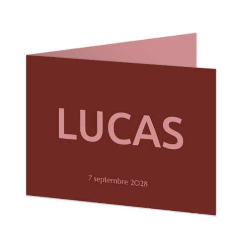 Faire-part rectangulaire 2 volets (14,3 cm x 10 cm)