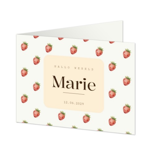 Geboortekaart Gevouwen Standaard (14,3 cm x 10 cm)