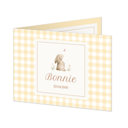 Cute Bunny Vichy Cute Bunny Vichy