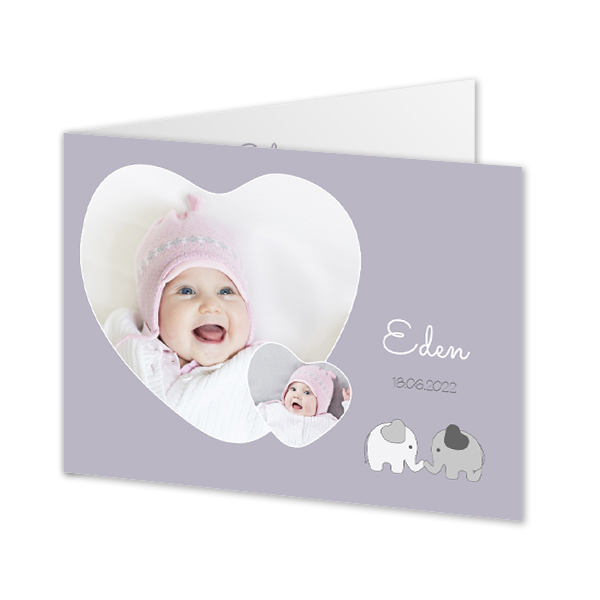 ElephantsInLoveBirth