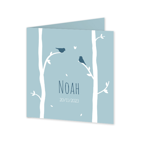 Geburtskarte Falt-Karte Quadratisch (14,3 cm x 14,3 cm) Geburtskarte Falt-Karte Quadratisch (14,3 cm x 14,3 cm)