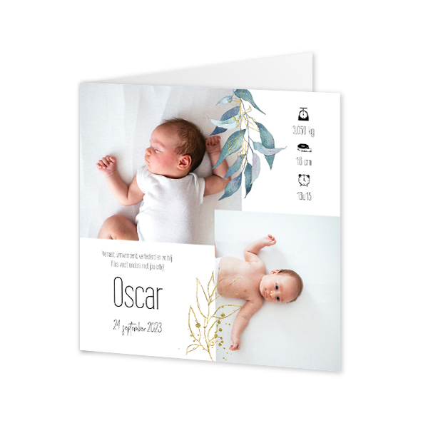 Geboortekaart Gevouwen Vierkant (14,3 cm x 14,3 cm) Geboortekaart Gevouwen Vierkant (14,3 cm x 14,3 cm)