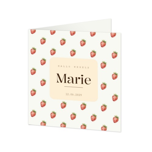 Geboortekaart Gevouwen Vierkant (14,3 cm x 14,3 cm)