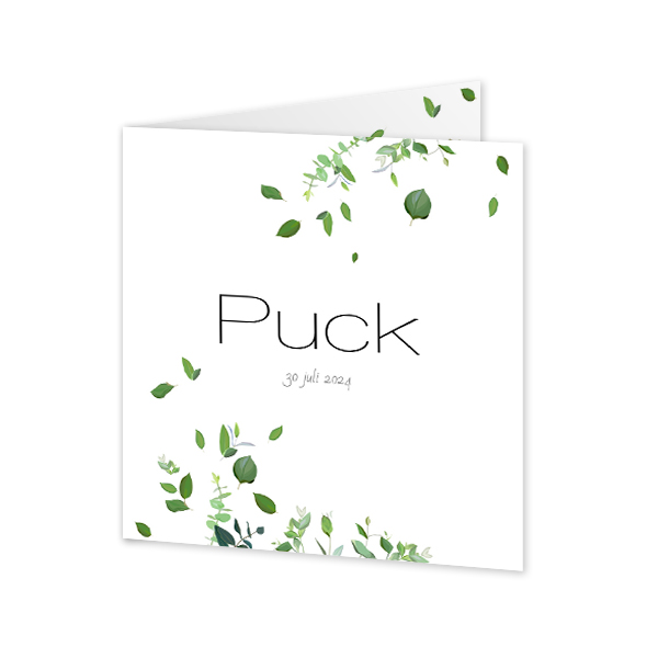 Geboortekaart Gevouwen Vierkant (14,3 cm x 14,3 cm) Geboortekaart Gevouwen Vierkant (14,3 cm x 14,3 cm)