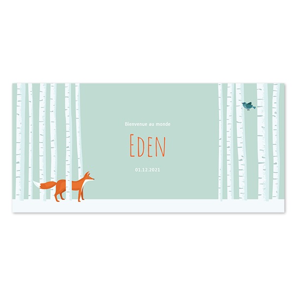 WinterWonderlandBirthTO