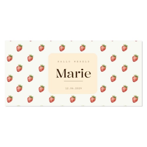 Geboortekaart Panorama Liggend (9,3 cm x 19,6 cm)