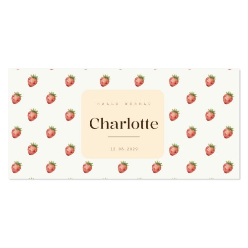 Geboortekaart Panorama Liggend (9,3 cm x 19,6 cm)