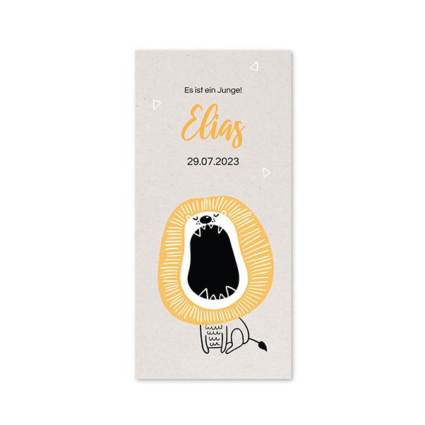 CardboardDoodleLionBirthTO