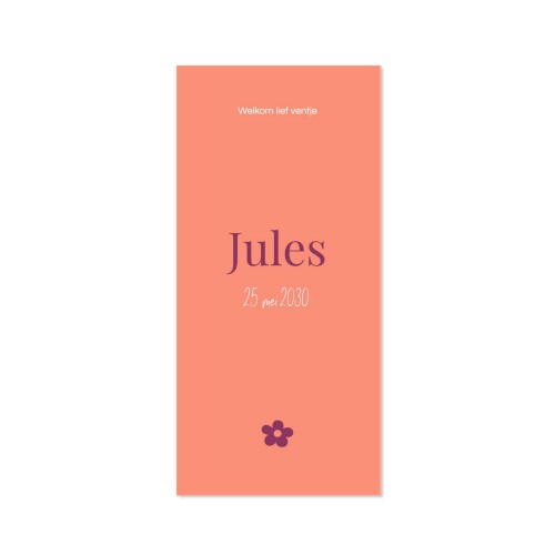 Geboortekaart Panorama Staand (19,6 cm x 9,3 cm)