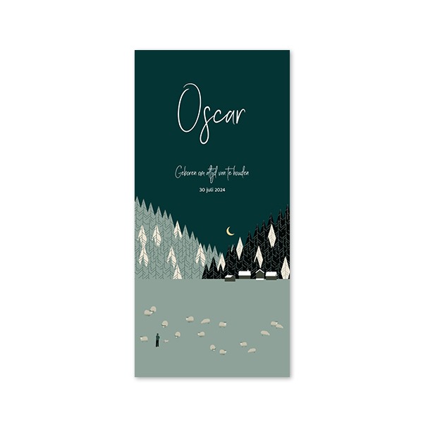 NightForestSheepBirthTO