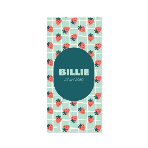 Strawberry Checkers Birth - Text Only