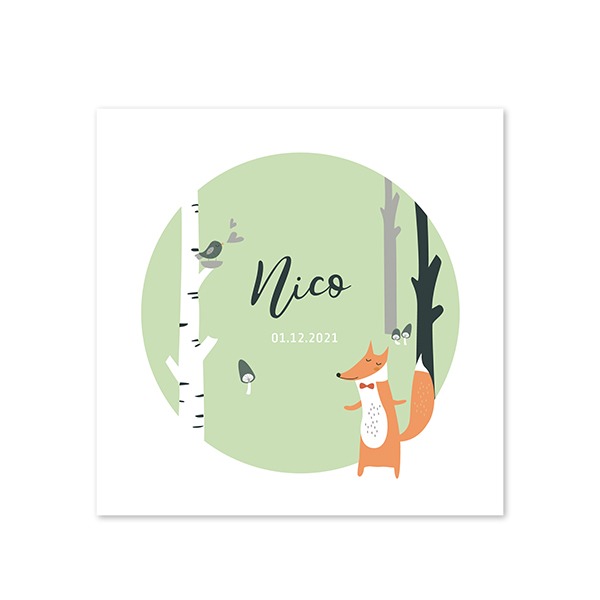 ForestFoxBirthTO ForestFoxBirthTO