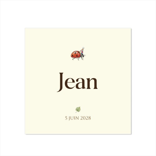 Illustration Ladybug - Text Only Birth