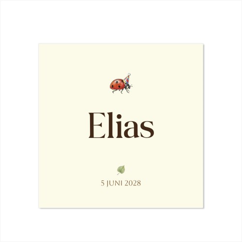 Illustration Ladybug - Text Only Birth