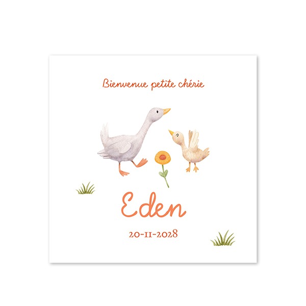 Faire-part carré (14,3 cm x 14,3 cm) Faire-part carré (14,3 cm x 14,3 cm)