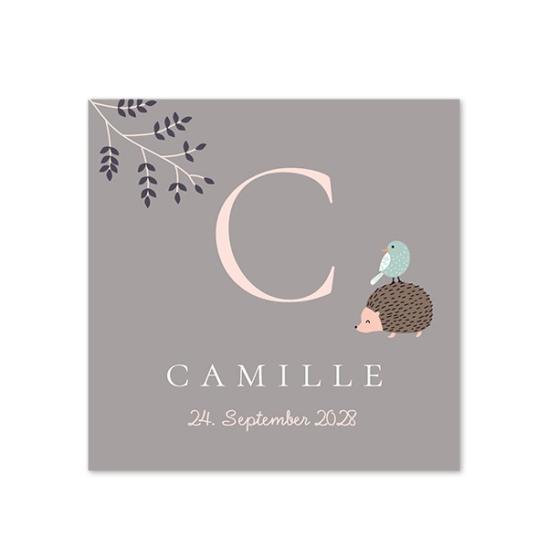 PinkLetterAnimalsBirth