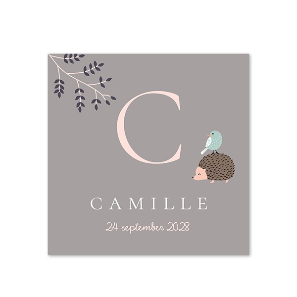 PinkLetterAnimalsBirth