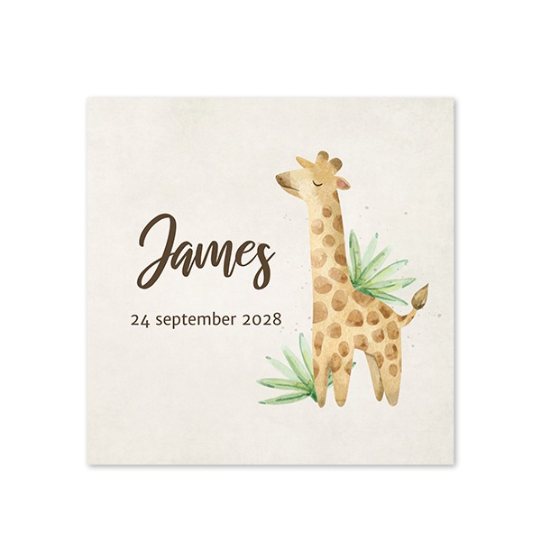 Geboortekaart Vierkant (14,3 cm x 14,3 cm)