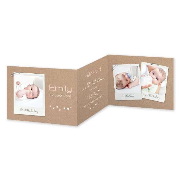 Faire-part 3 volets Paysage 14,3 x 10 cm