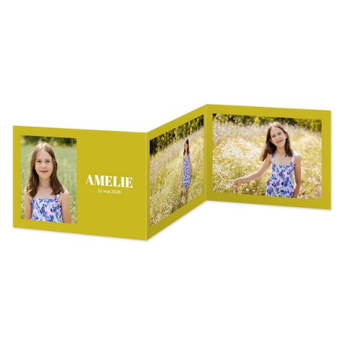 Faire-part 3 volets Paysage 14,3 x 10 cm