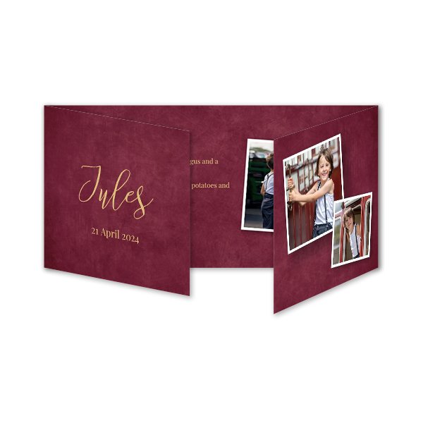 Fotokort 6 sider Panorama Liggende 19,6 x 9,3 cm