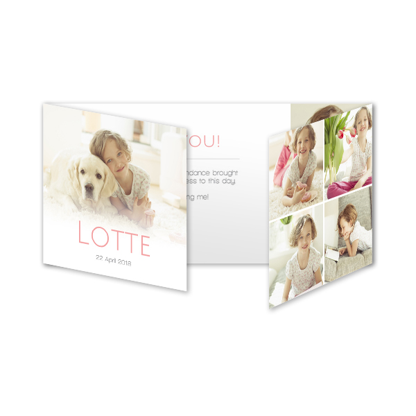 Fotokort 6 sidor Pano Liggande 19,6 x 9,3 cm