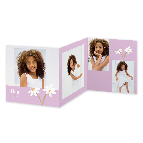 SpringFlowerDaisy SpringFlowerDaisy