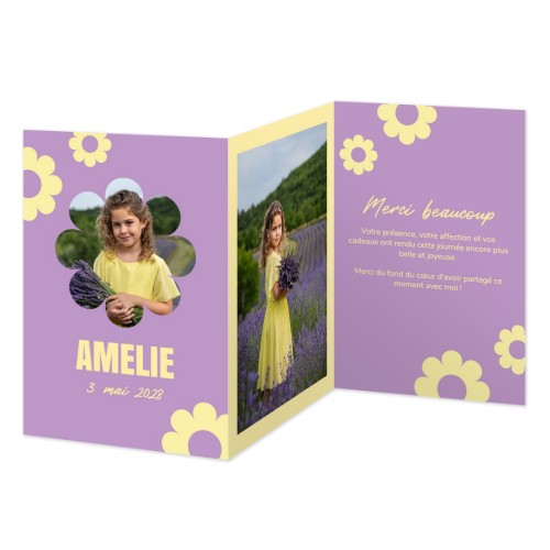 Daisy Shape Daisy Shape